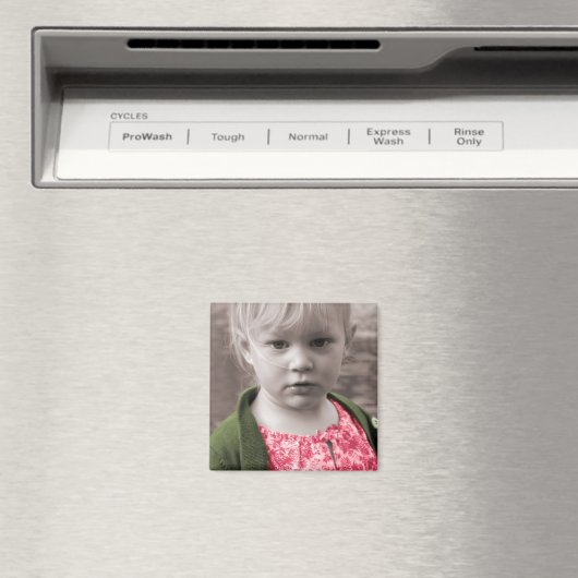 「疑問に思」 マグネット (インサイチュ (食洗機))