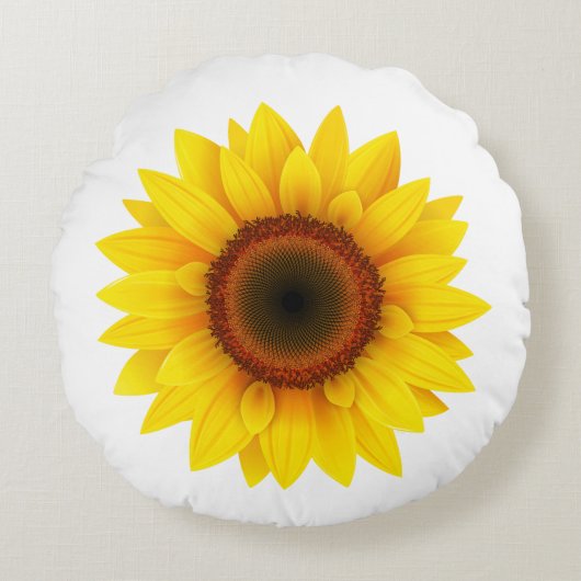 疑問に思 ラウンドクッション (正面)