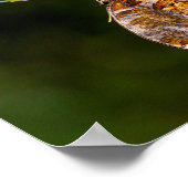 疑問符バタフライ ポスター (角)