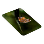 疑問符バタフライ マグネット (右側)