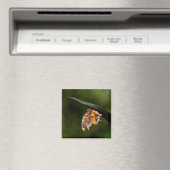 疑問符バタフライ マグネット (インサイチュ (食洗機))