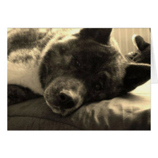 疲れたインカ人