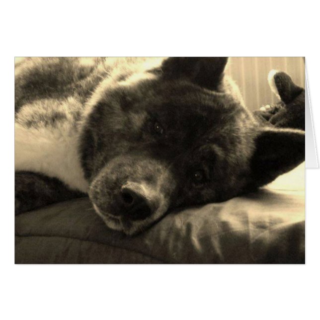 疲れたインカ人 (正面横)