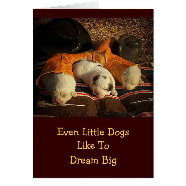 疲れたカウボーイの子犬 (正面)