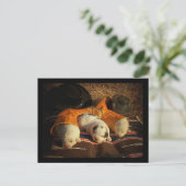 疲れたカウボーイパピーズ ポストカード (スタンド正面)