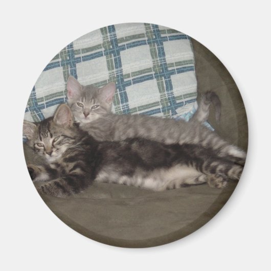 疲れたキットン磁石 マグネット (正面)