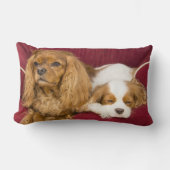 疲れたキャリバリーキングチャールズスパニエル犬材木枕 ランバークッション (正面)