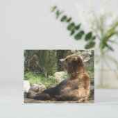 疲れたクマ ポストカード (スタンド正面)