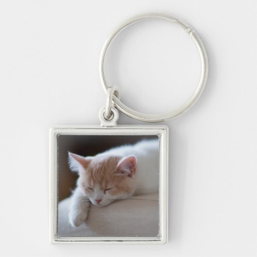 疲れたベージュおよび白い子ネコ キーホルダー (正面)