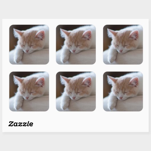 疲れたベージュと白い子猫 スクエアシール (シート)