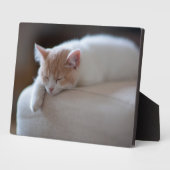 疲れたベージュと白い子猫 フォトプラーク (側面)