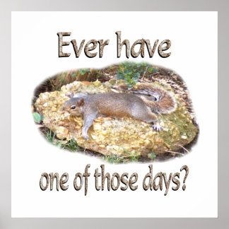 疲れたリス ポスター