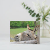 疲れたロバ ポストカード (スタンド正面)