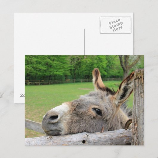 疲れたロバ ポストカード (正面/裏面)