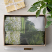 疲れた外観の納屋をサポートするホワイトタンポポ 薄葉紙 (ギフト)