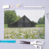 疲れた外観の納屋をサポートするホワイトタンポポ 薄葉紙 (クラフト)