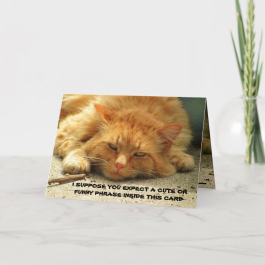 疲れた子猫がカードを完成させたい カード (正面)