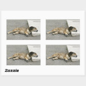 疲れた犬のステッカーカスタマイズ、 長方形シール (シート)