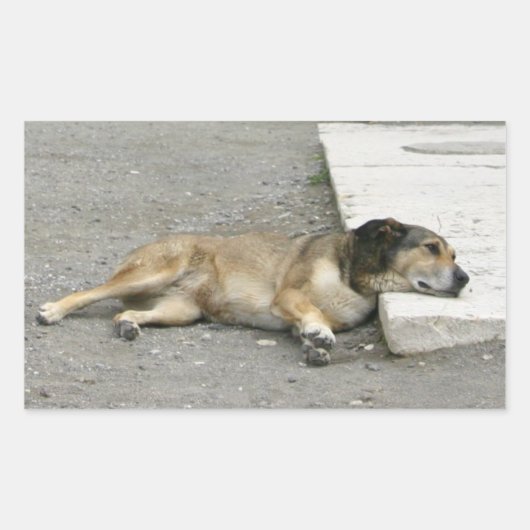 疲れた犬のステッカーカスタマイズ、 長方形シール (正面)