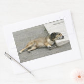 疲れた犬のステッカーカスタマイズ、 長方形シール (封筒)