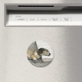 疲れた犬の磁石カスタマイズ、 マグネット (インサイチュ (食洗機))