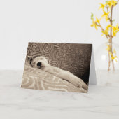 疲れた犬 カード (黄色い花)