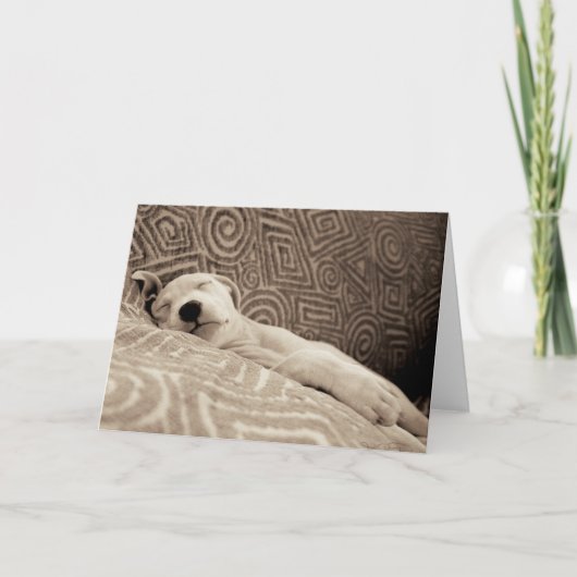 疲れた犬 カード (正面)