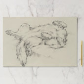 疲れた犬 ペーパーパッド (インサイチュ)