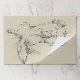 疲れた犬 ペーパーパッド