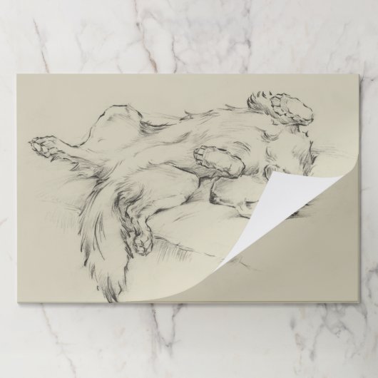 疲れた犬 ペーパーパッド (折り畳み)