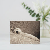 疲れた犬 ポストカード (スタンド正面)