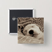 疲れた犬 缶バッジ (正面&裏面)