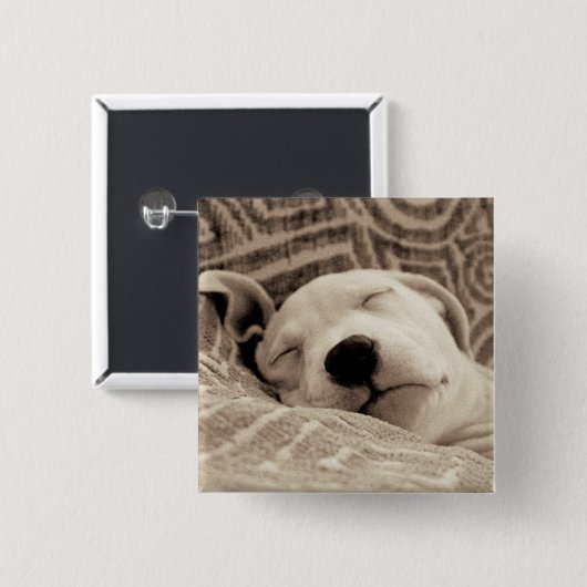 疲れた犬 缶バッジ (正面&裏面)