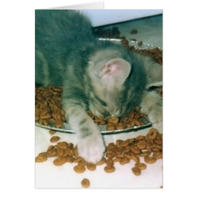 疲れているこれであるあります (正面)