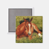 疲れ切ったアウト – 休憩用のフォアマグネット マグネット (正面/裏面)