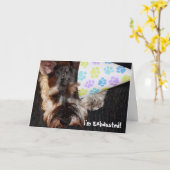 疲れ果てた子犬とパーティー帽子誕生日カード カード (黄色い花)