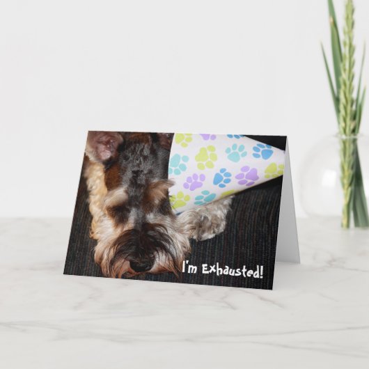 疲れ果てた子犬とパーティー帽子誕生日カード カード (正面)