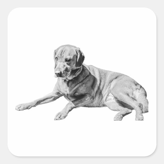 疲れ果てた犬、チルヴィーブ スクエアシール (正面)