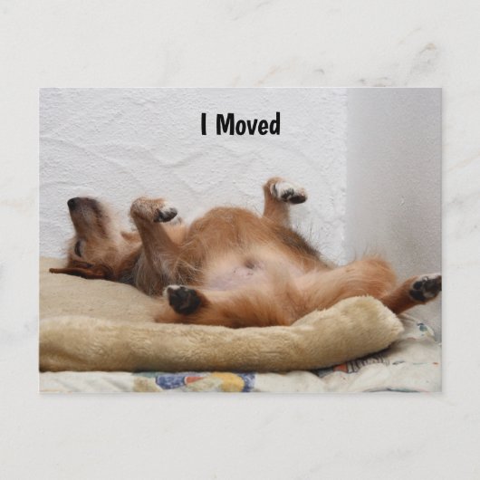 疲れ果てた!ポストカード ポストカード (正面)