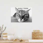 疲生まれ子猫 ポスター (キッチン)