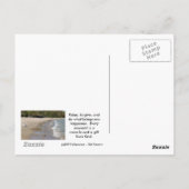 疾病及び癌の治癒トリートメント ポストカード (裏面)