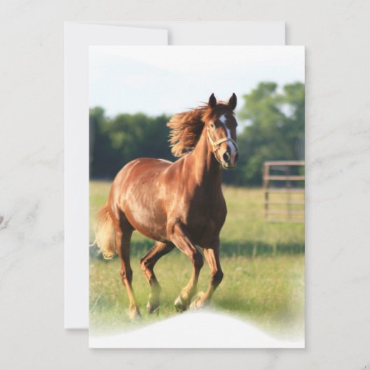 疾走するクリの招待状 招待状 (正面)