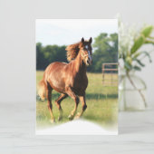 疾走するクリの招待状 招待状 (スタンド正面)