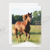 疾走するクリの招待状 招待状 (正面/裏面)