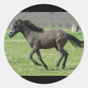 疾走する子馬のステッカー ラウンドシール