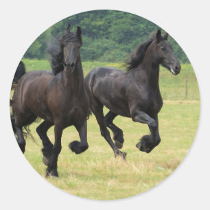 疾走するFriesianの馬のステッカー ラウンドシール