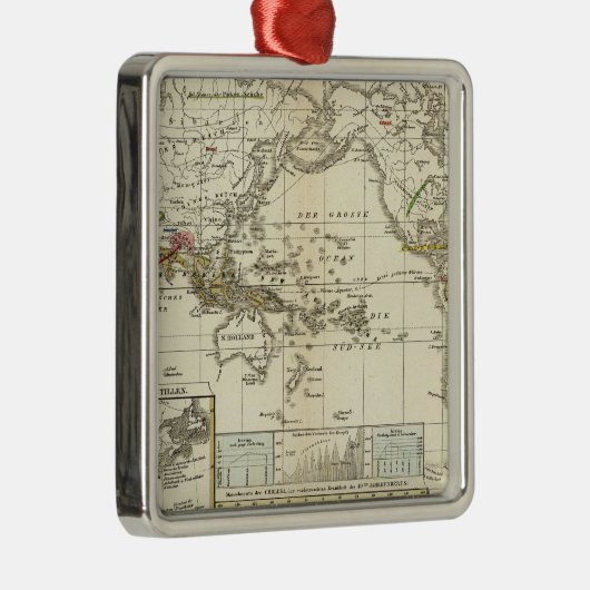 病気の世界地図 メタルオーナメント (右)