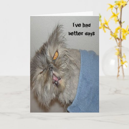 病気の子猫 カード (黄色い花)