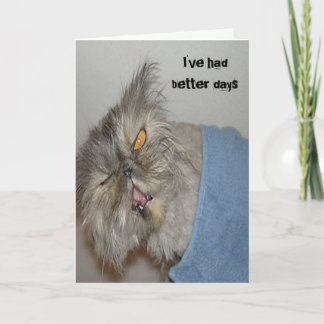 病気の子猫 カード