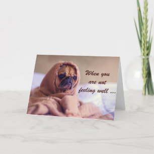病気の犬、悔やみや弔慰、ユーモア。 カード